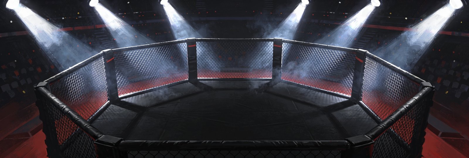 Posters MMA