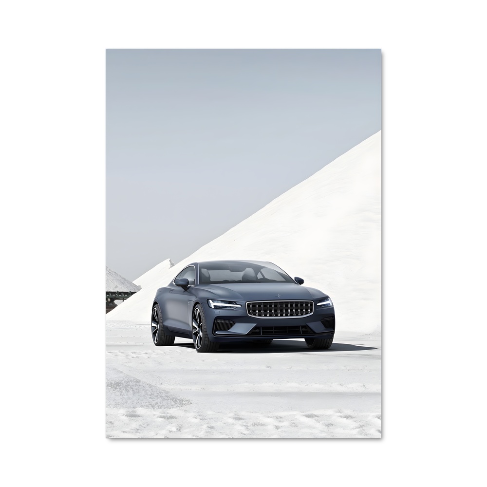 Poster magnifique