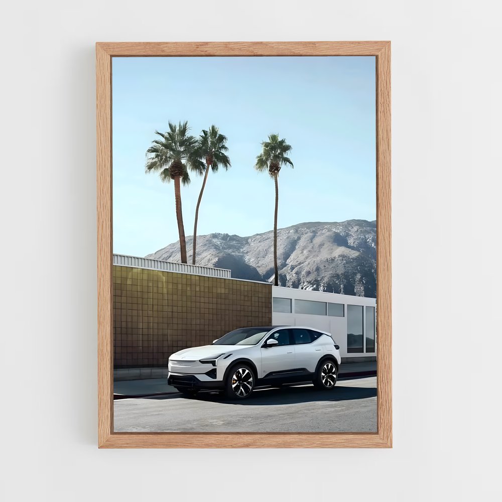 Poster Tesla en Ville – affiche Polestar (vue 4)