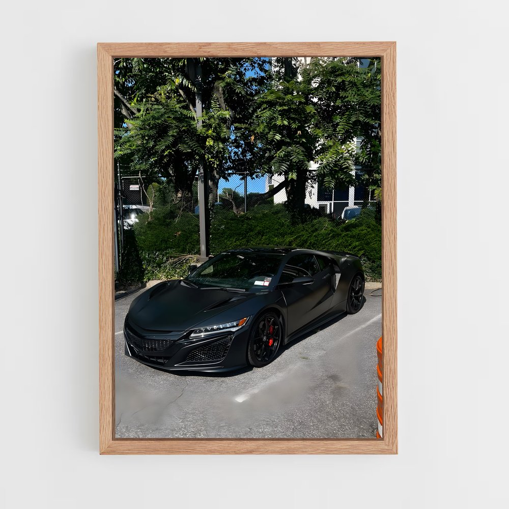 Poster Acura Seul (vue 4)