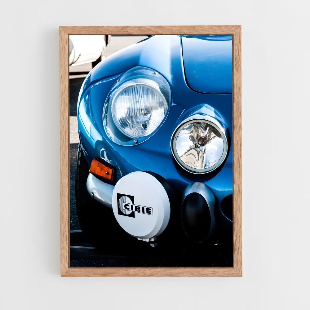 Poster Alpine Racer (vue 4)