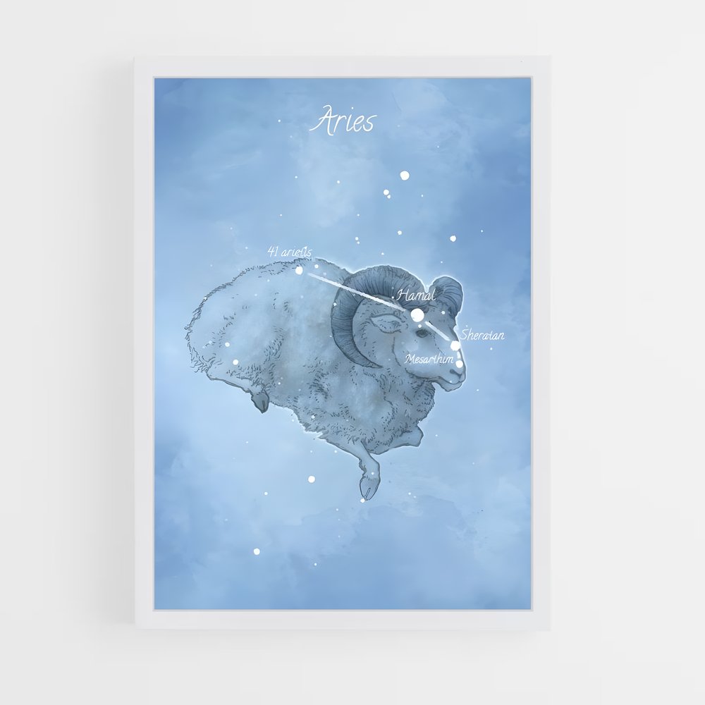 Poster Ari-volution – affiche Constellations (vue 3)