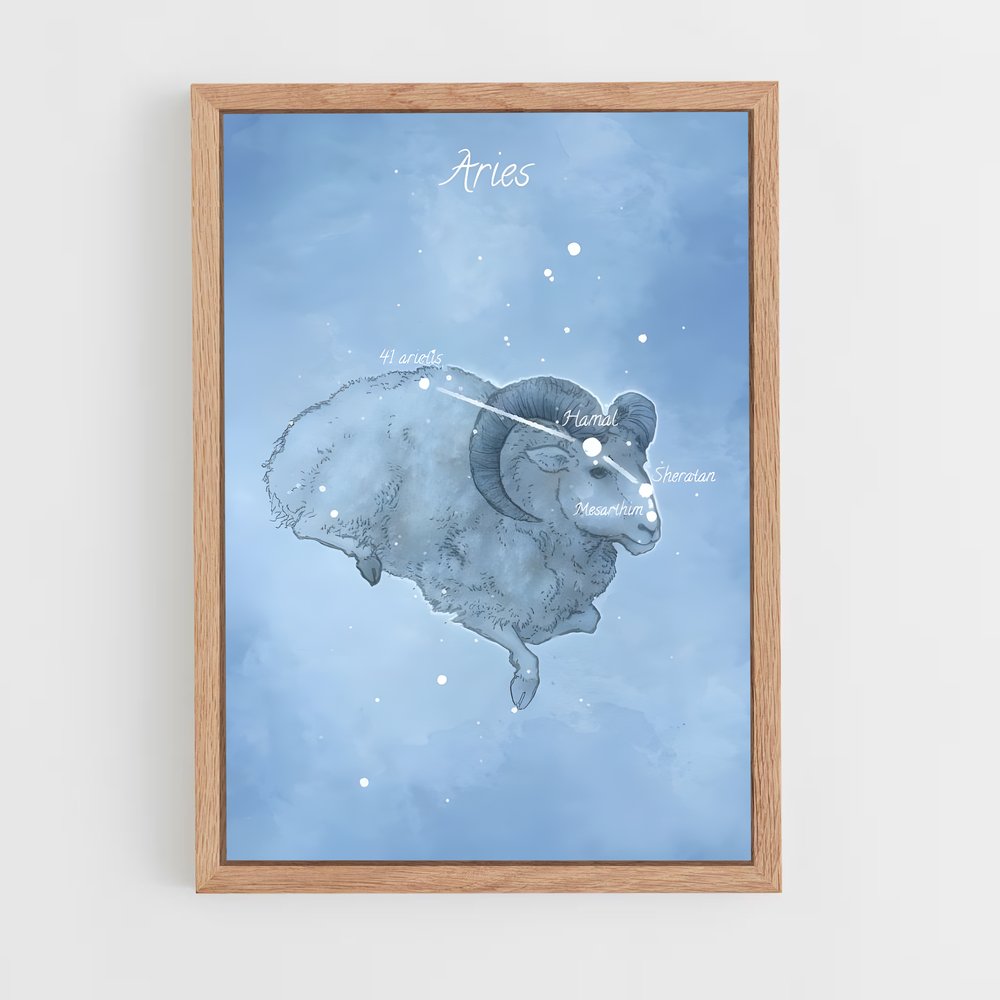 Poster Ari-volution – affiche Constellations (vue 4)