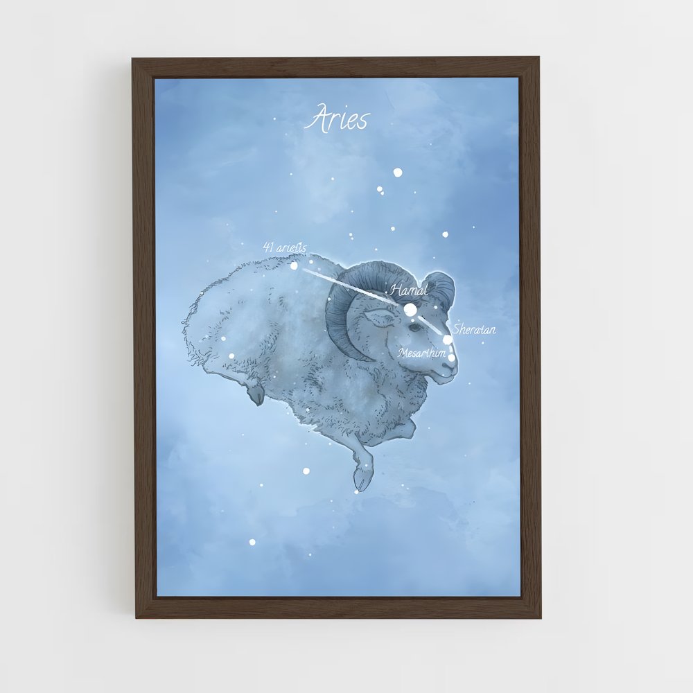 Poster Ari-volution – affiche Constellations (vue 5)