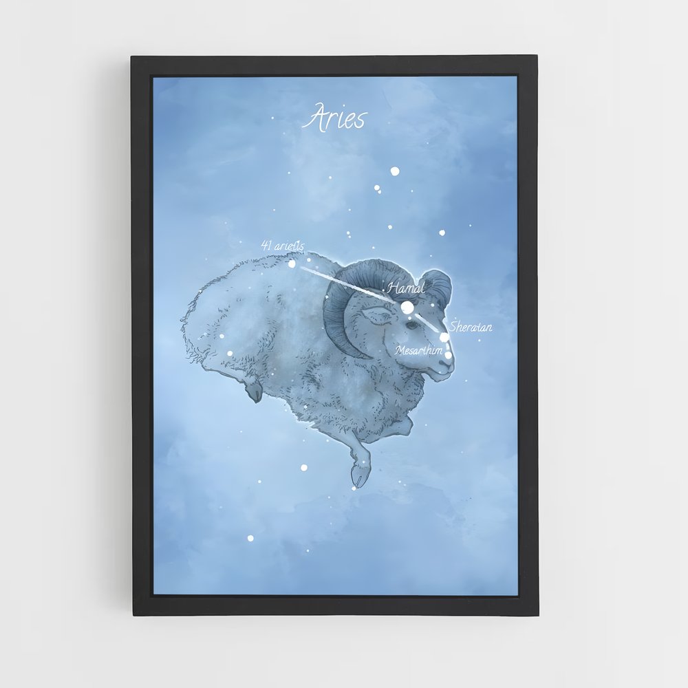 Poster Ari-volution – affiche Constellations (vue 2)