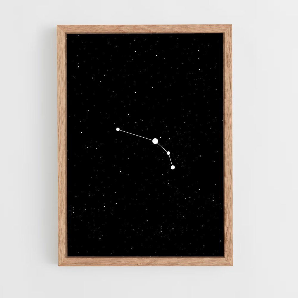 Poster L'Éclat du Lion – affiche Constellations (vue 4)