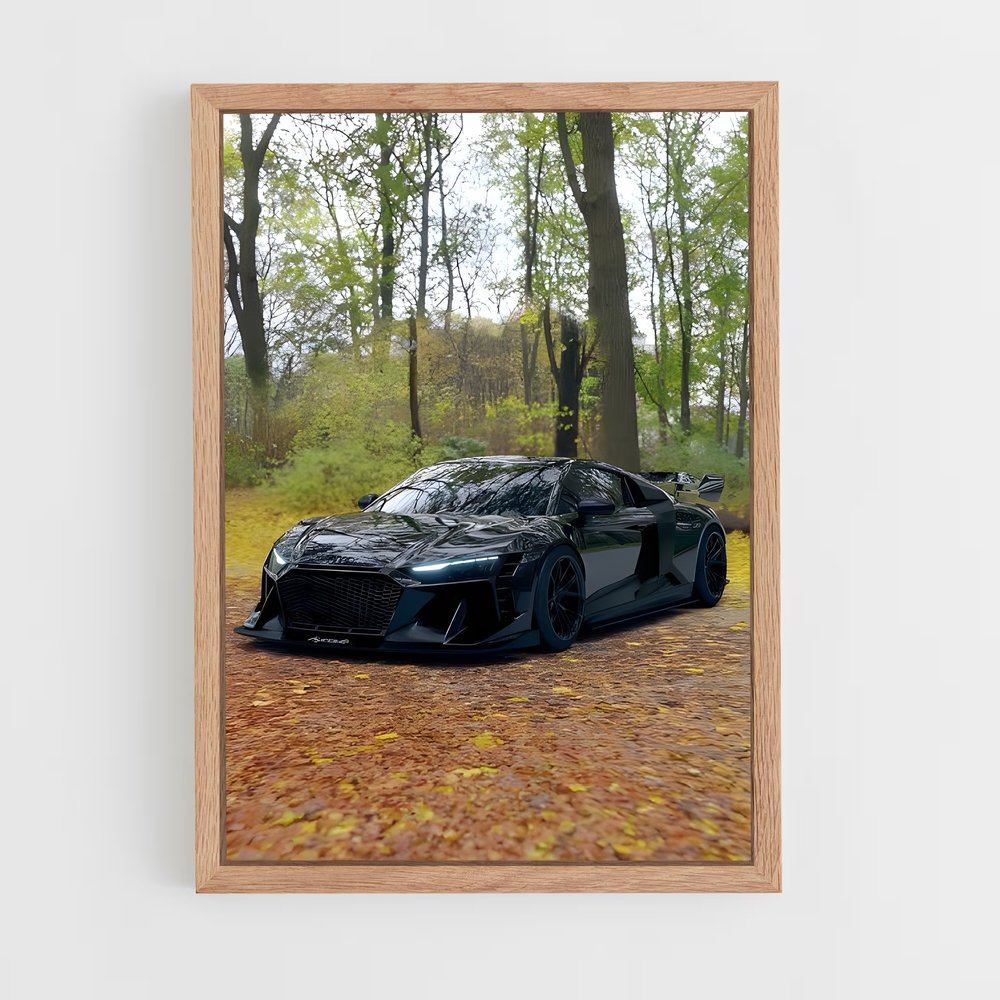 Poster Audi dans les Bois (vue 4)