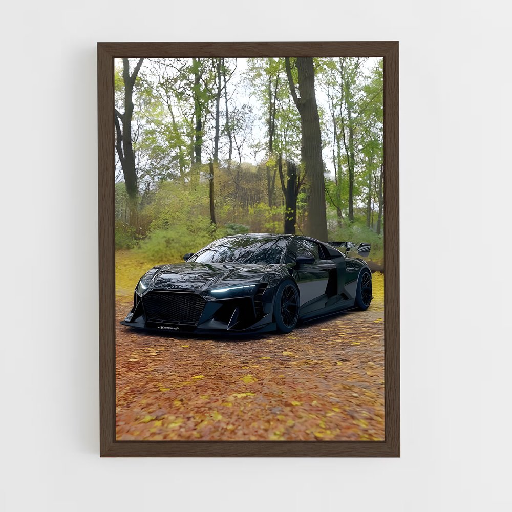 Poster Audi dans les Bois (vue 5)