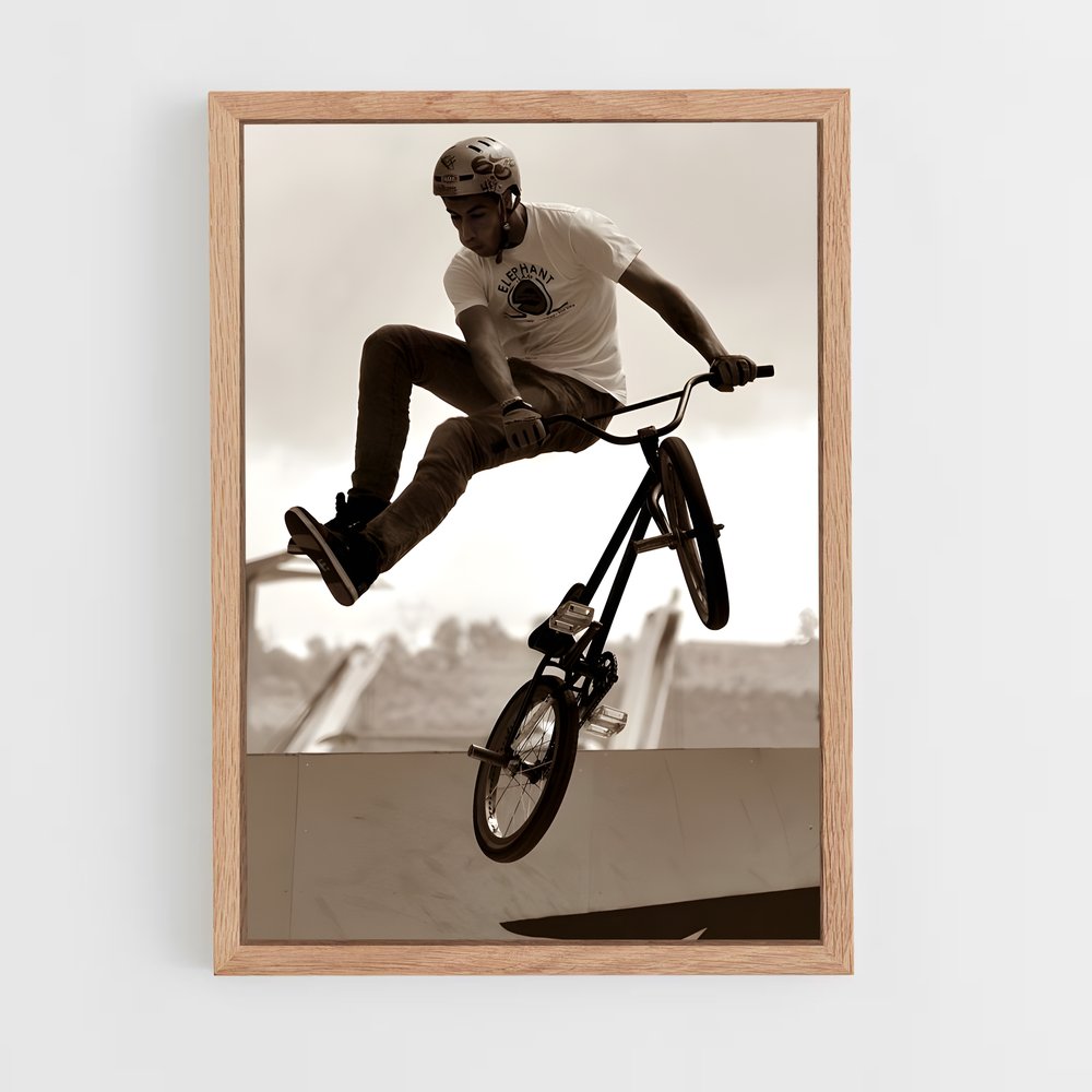 Poster Airborne BMX (vue 4)