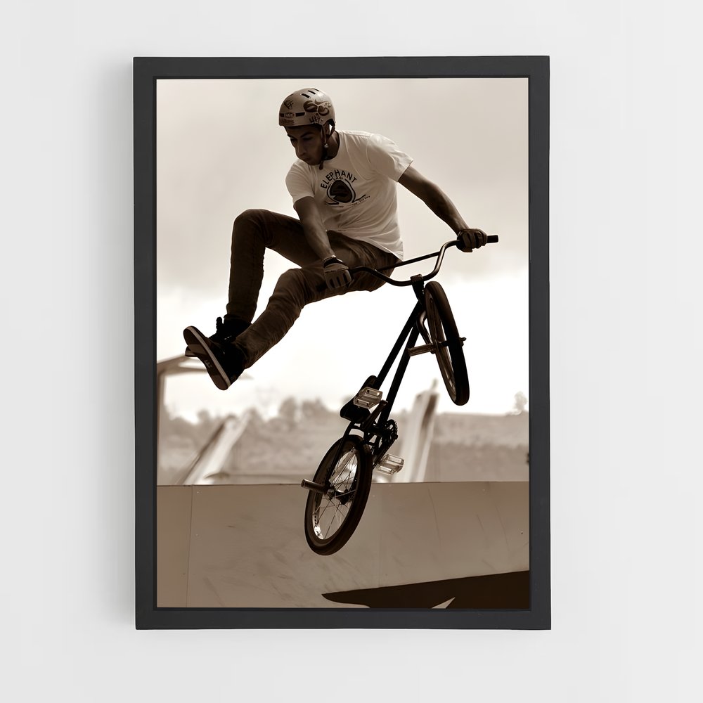 Poster Airborne BMX (vue 2)