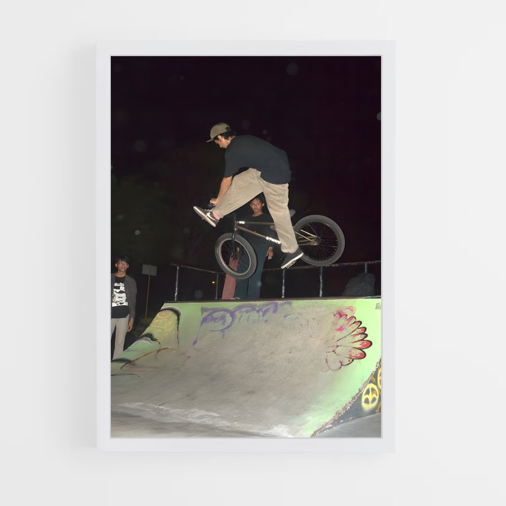 Poster Trickster en BMX (vue 3)