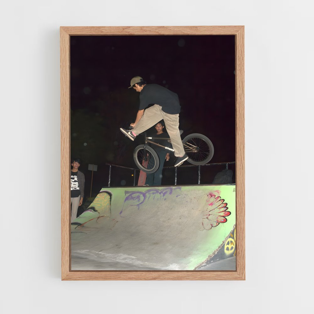 Poster Trickster en BMX (vue 4)
