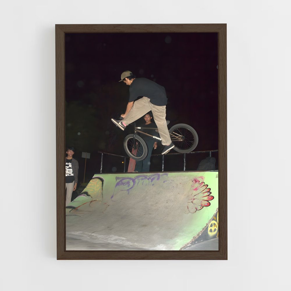 Poster Trickster en BMX (vue 5)