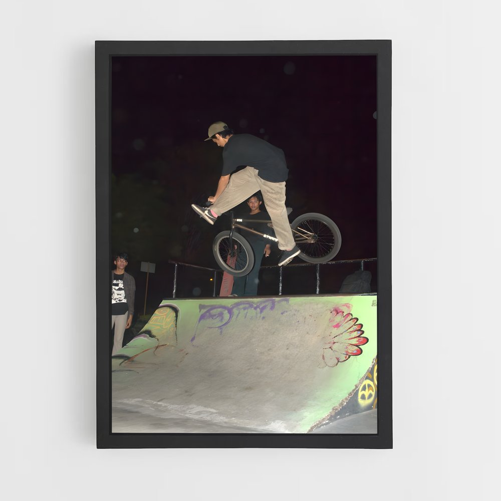 Poster Trickster en BMX (vue 2)