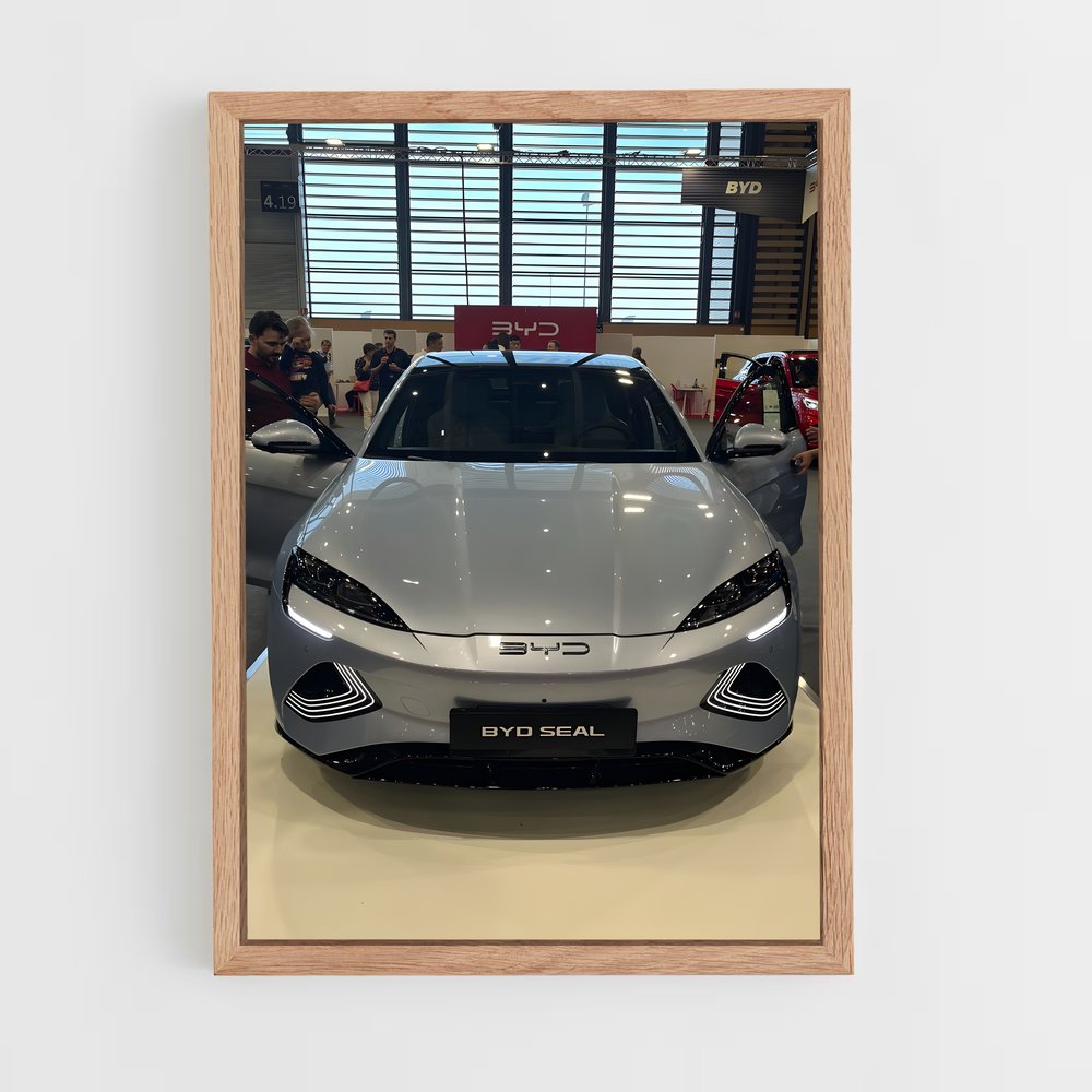 Poster Byd électrique (vue 4)