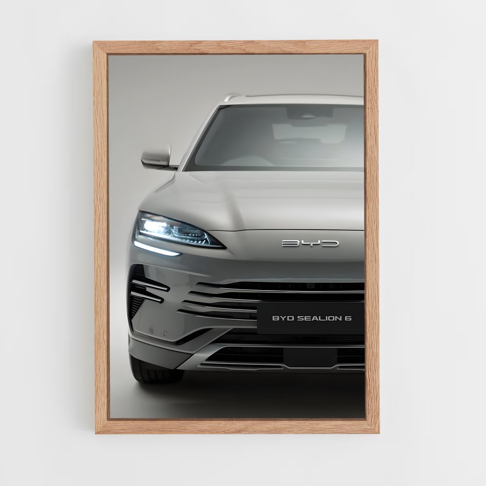 Poster Tesla Revolution – affiche BYD (vue 4)