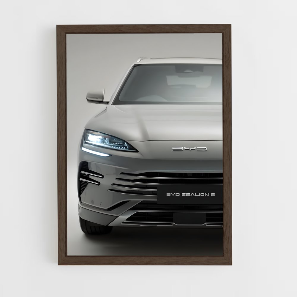 Poster Tesla Revolution – affiche BYD (vue 5)