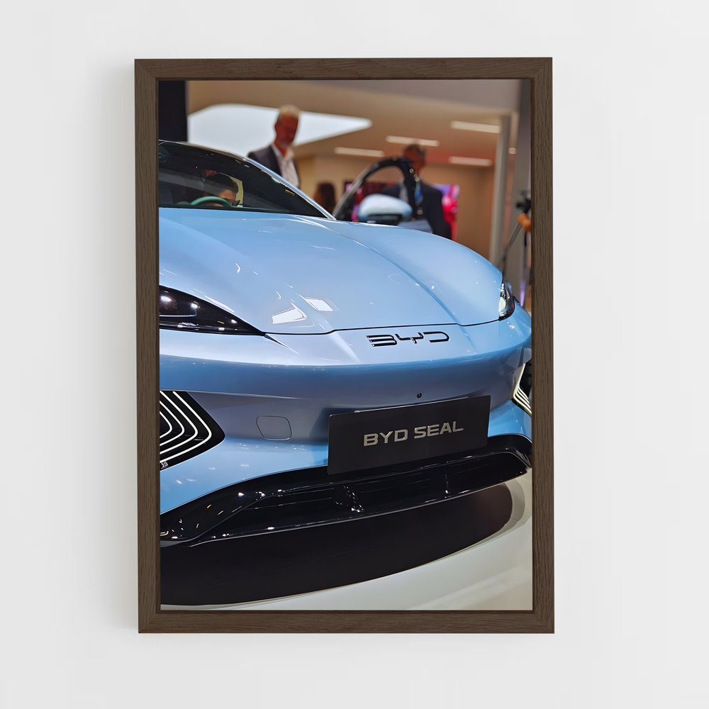 Poster Opération Espionnage – affiche BYD (vue 5)