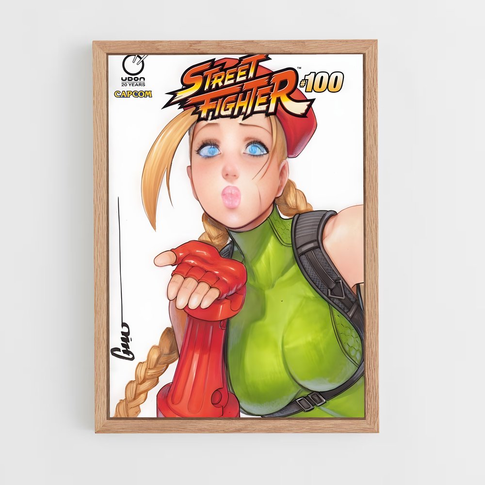 Poster Street Fighter: Cammy's Fury (vue 4)