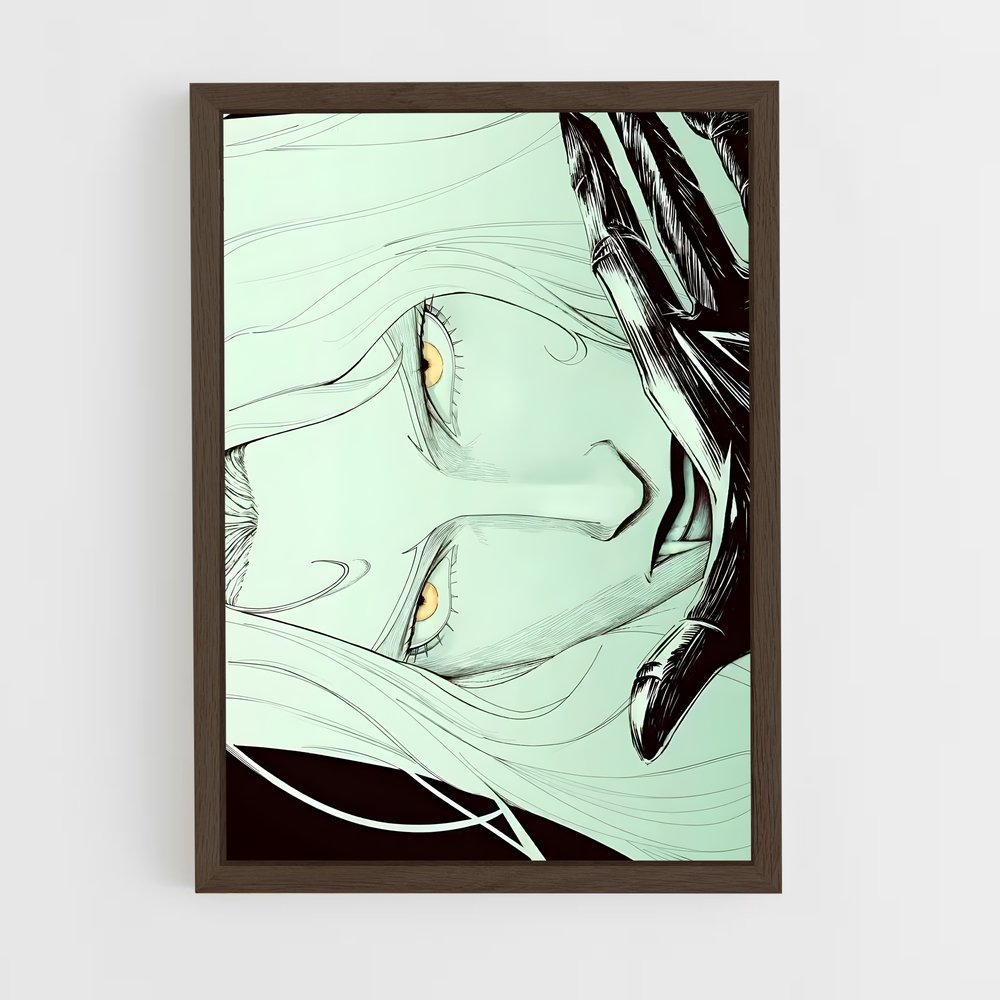 Poster Castlevania Plongez (vue 5)