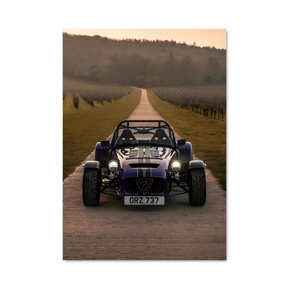 Poster Caterham Sauvage
