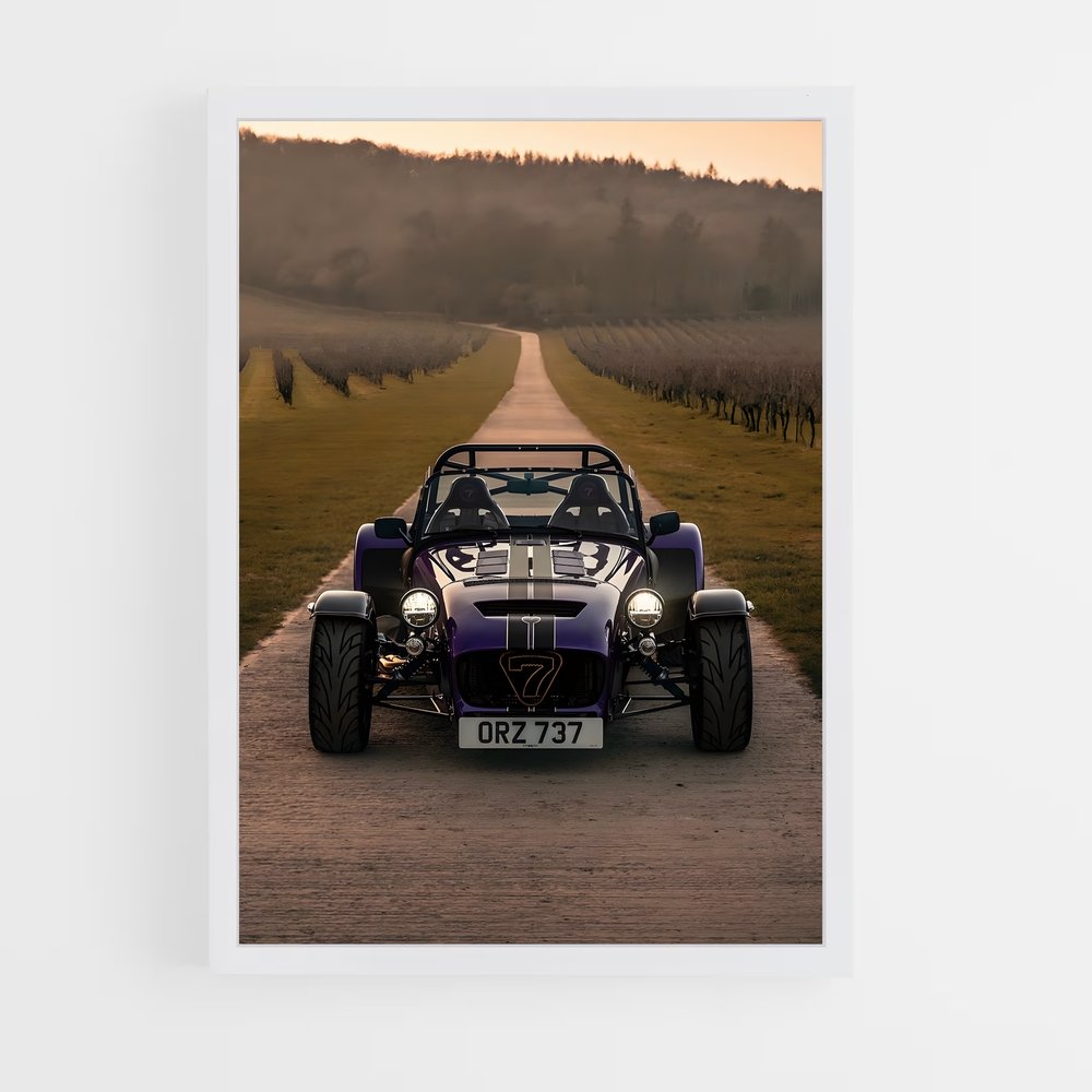 Poster Caterham Sauvage (vue 3)
