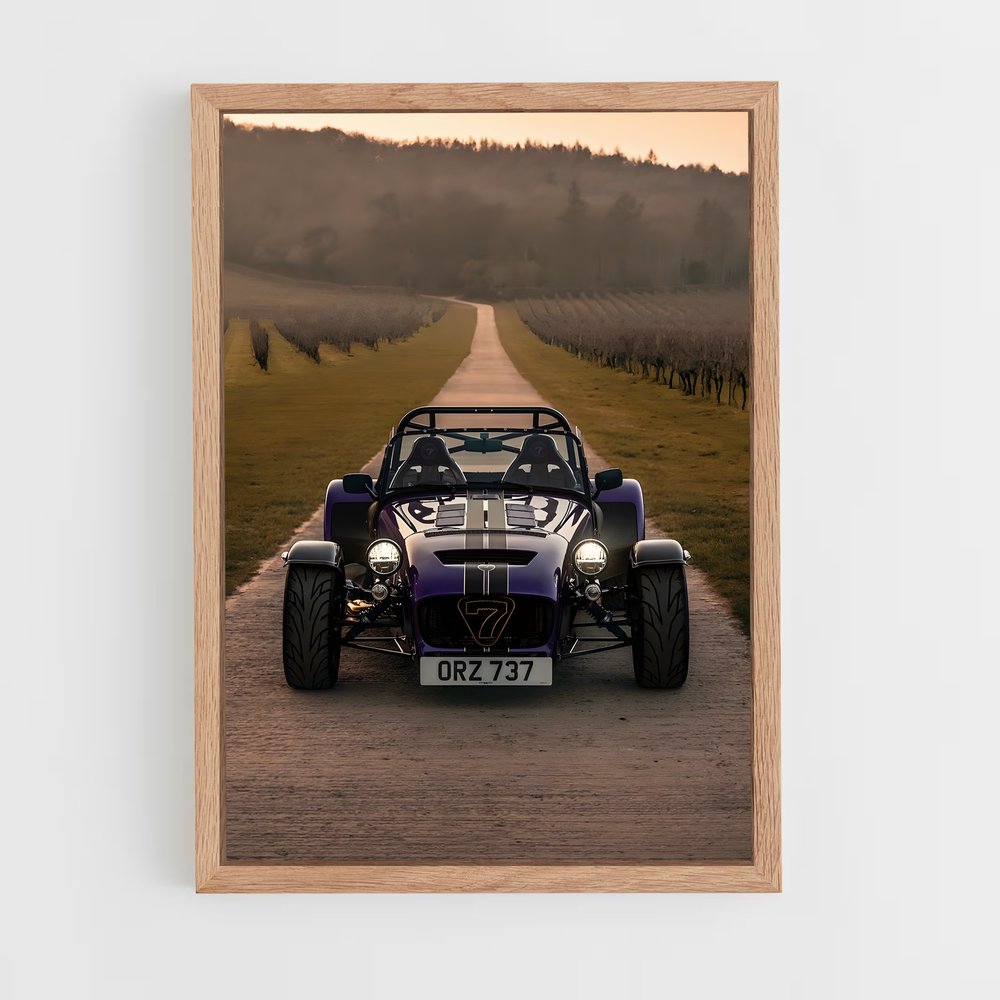 Poster Caterham Sauvage (vue 4)