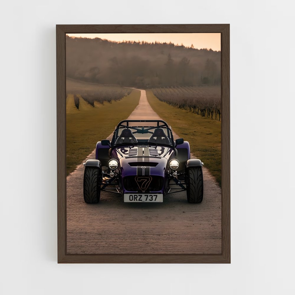 Poster Caterham Sauvage (vue 5)