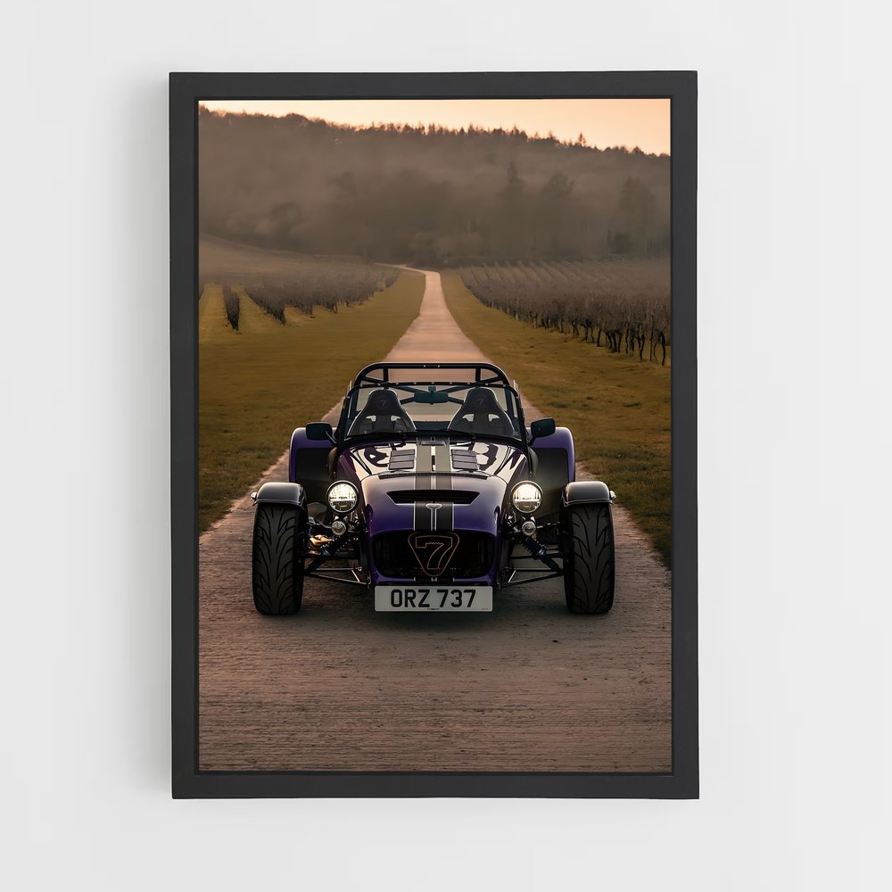Poster Caterham Sauvage (vue 2)