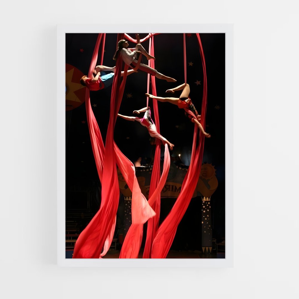 Poster Pole Dance Spectacle – affiche Cirque (vue 3)