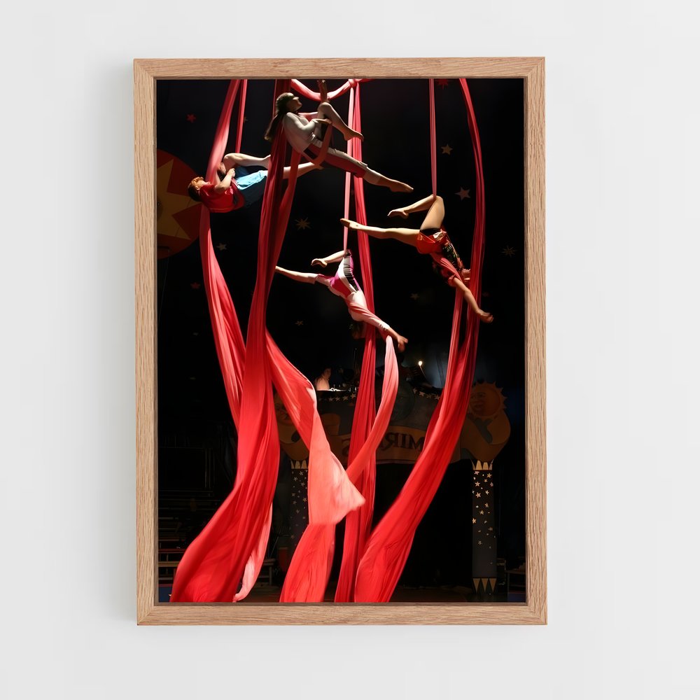 Poster Pole Dance Spectacle – affiche Cirque (vue 4)