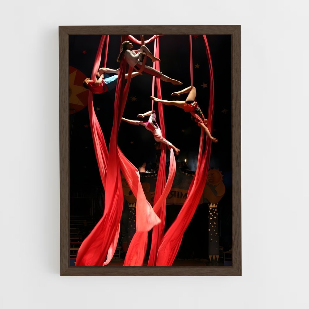 Poster Pole Dance Spectacle – affiche Cirque (vue 5)