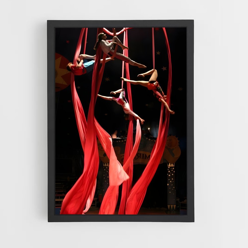 Poster Pole Dance Spectacle – affiche Cirque (vue 2)