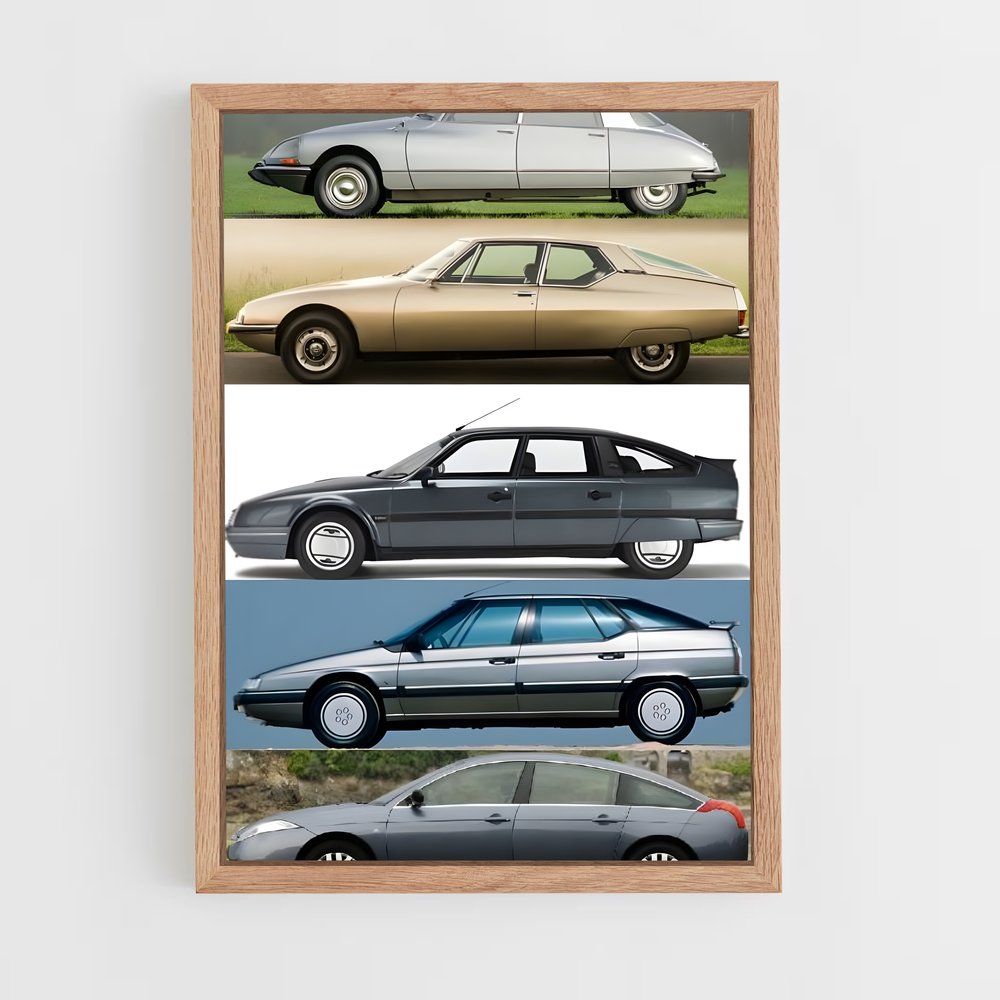 Poster Citroën Éléganza (vue 4)
