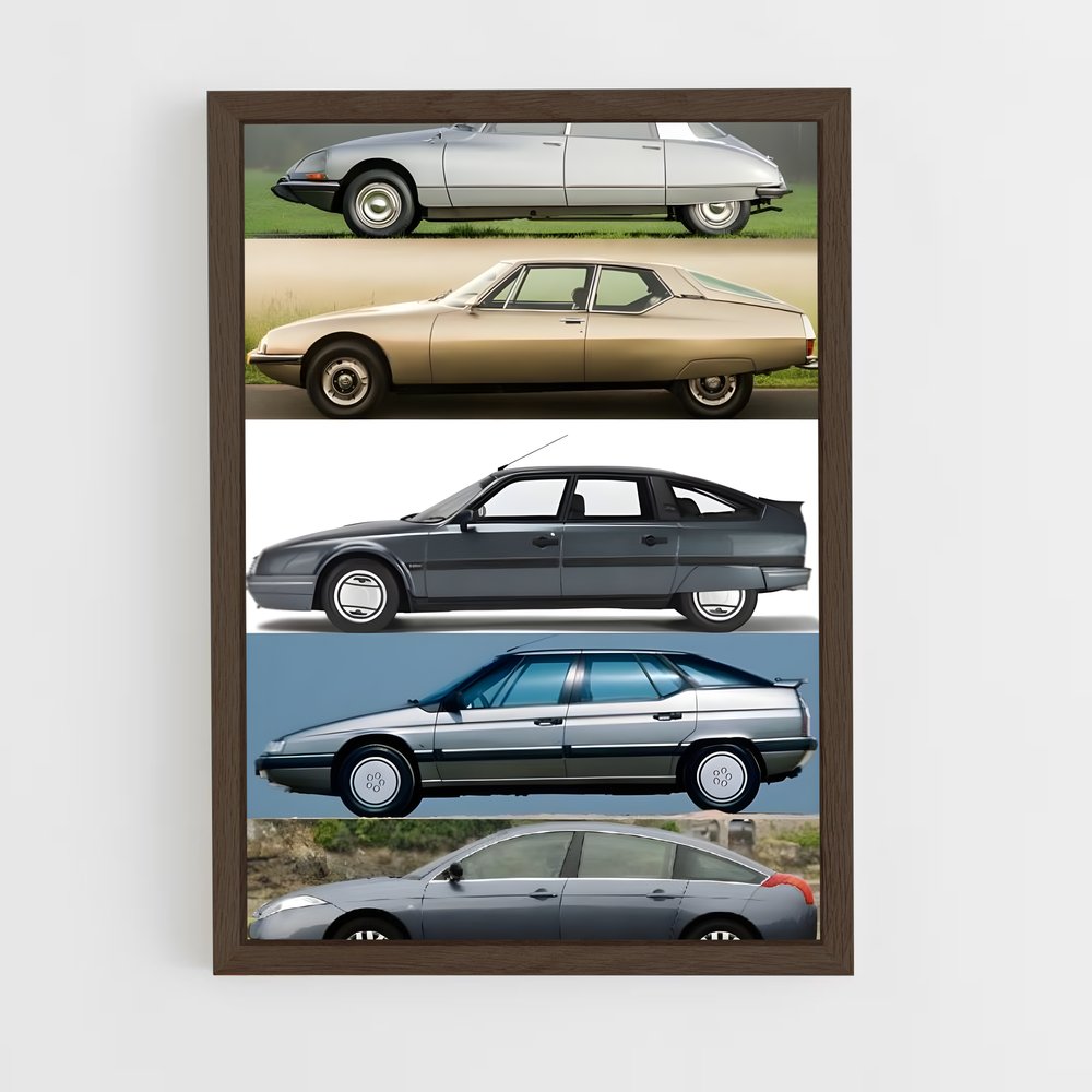 Poster Citroën Éléganza (vue 5)