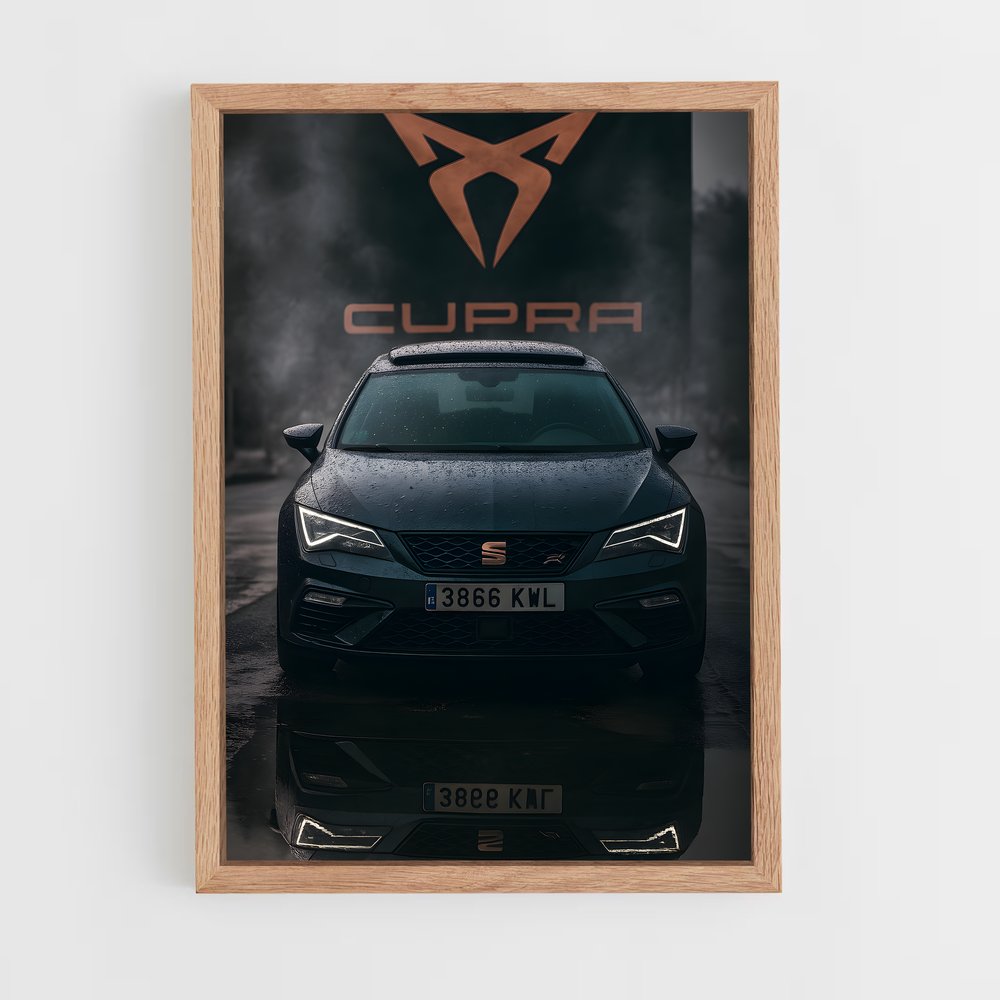 Poster Cupra suspendu (vue 4)