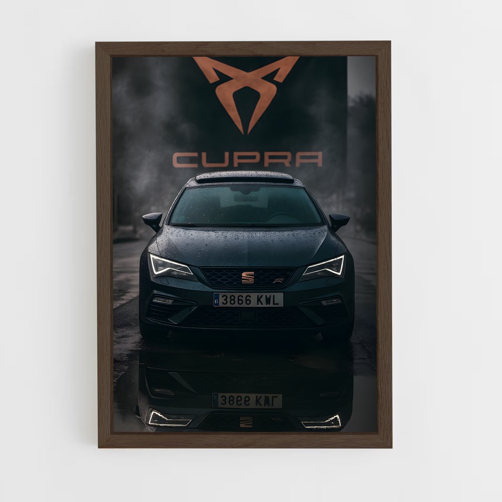 Poster Cupra suspendu (vue 5)