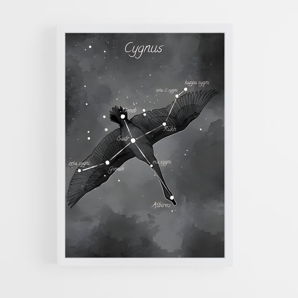 Poster Cygne Éblouissant – affiche Constellations (vue 3)