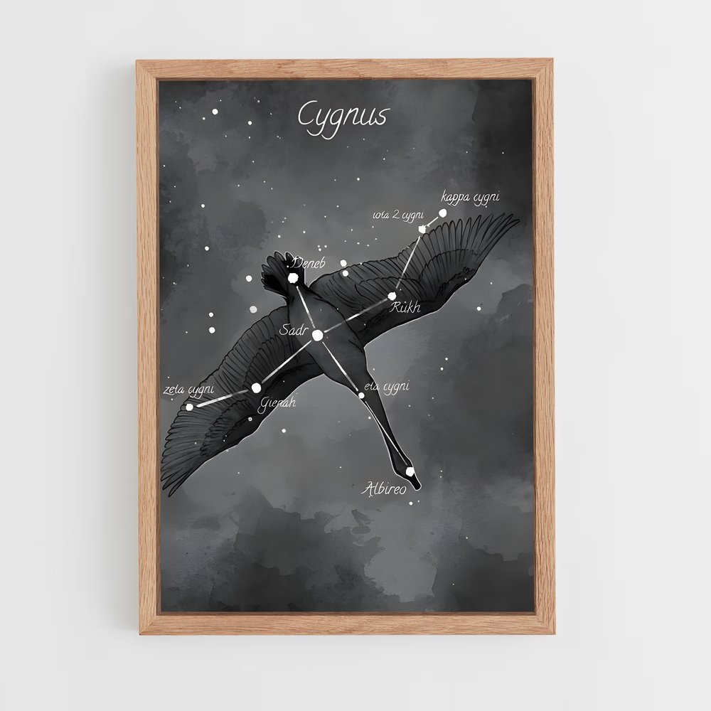 Poster Cygne Éblouissant – affiche Constellations (vue 4)
