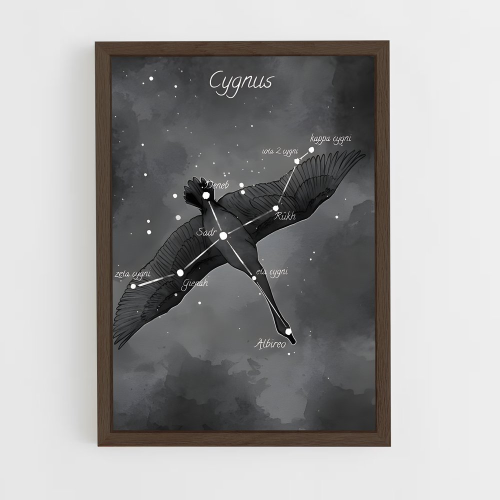 Poster Cygne Éblouissant – affiche Constellations (vue 5)