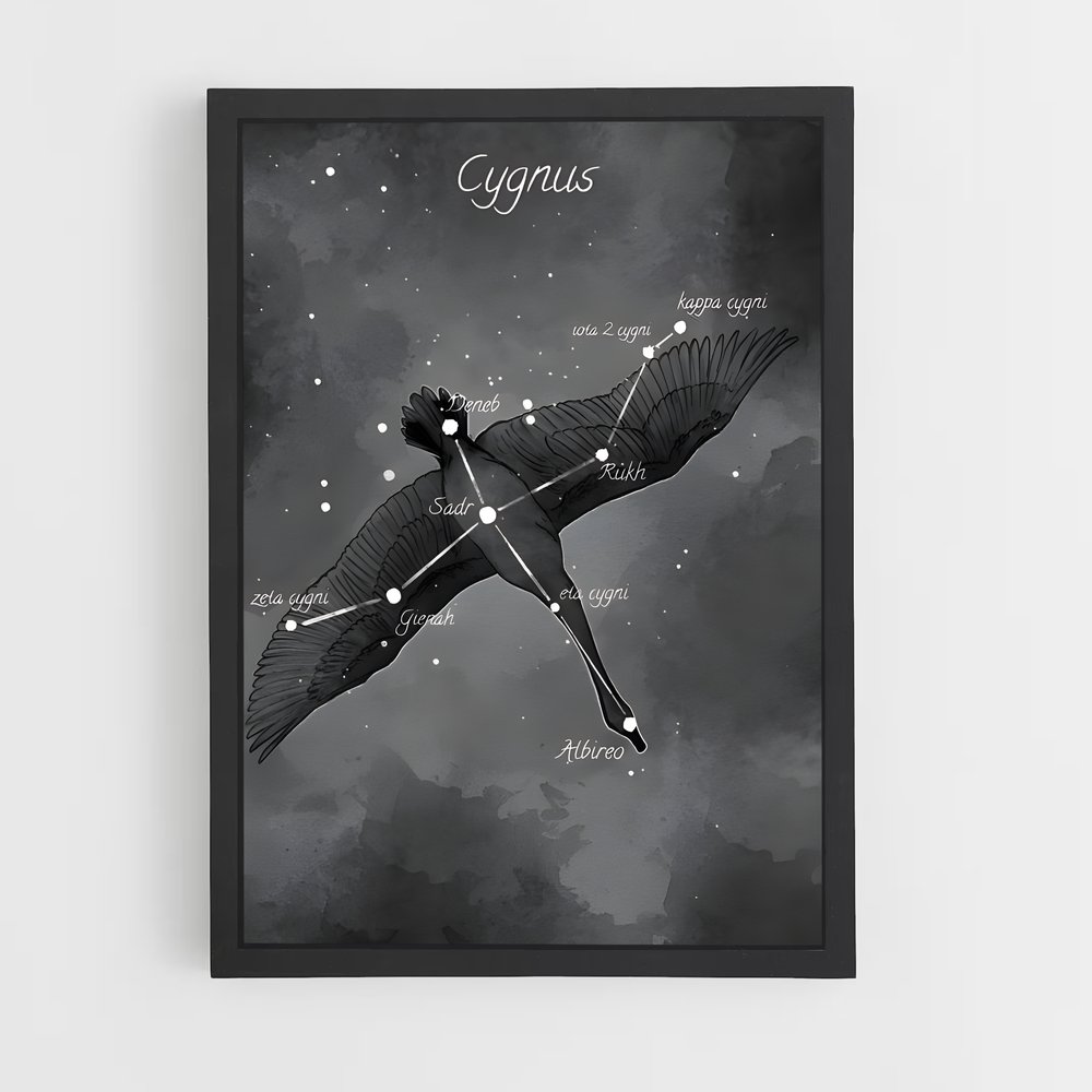 Poster Cygne Éblouissant – affiche Constellations (vue 2)