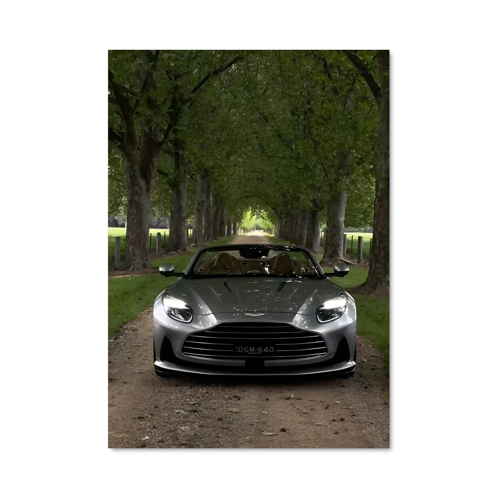 Poster Roadster Étoilé