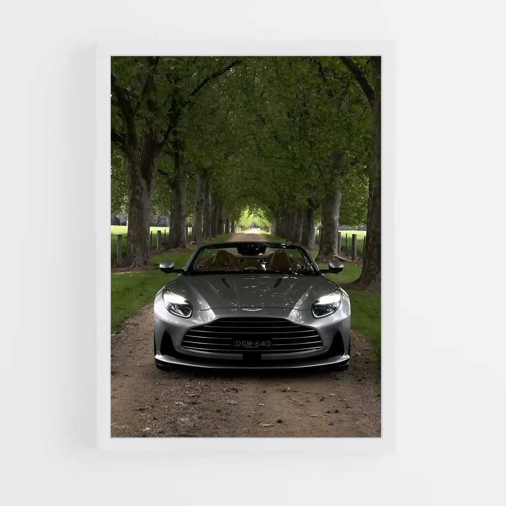 Poster Roadster Étoilé – affiche Aston Martin (vue 3)
