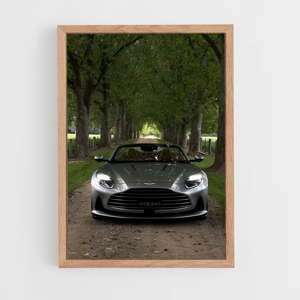 Poster Roadster Étoilé – affiche Aston Martin (vue 4)