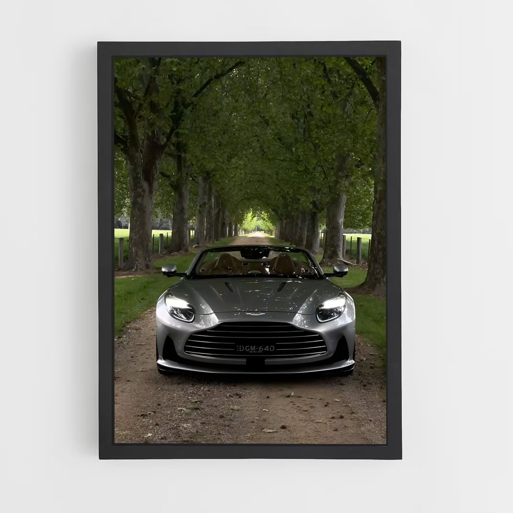 Poster Roadster Étoilé – affiche Aston Martin (vue 2)