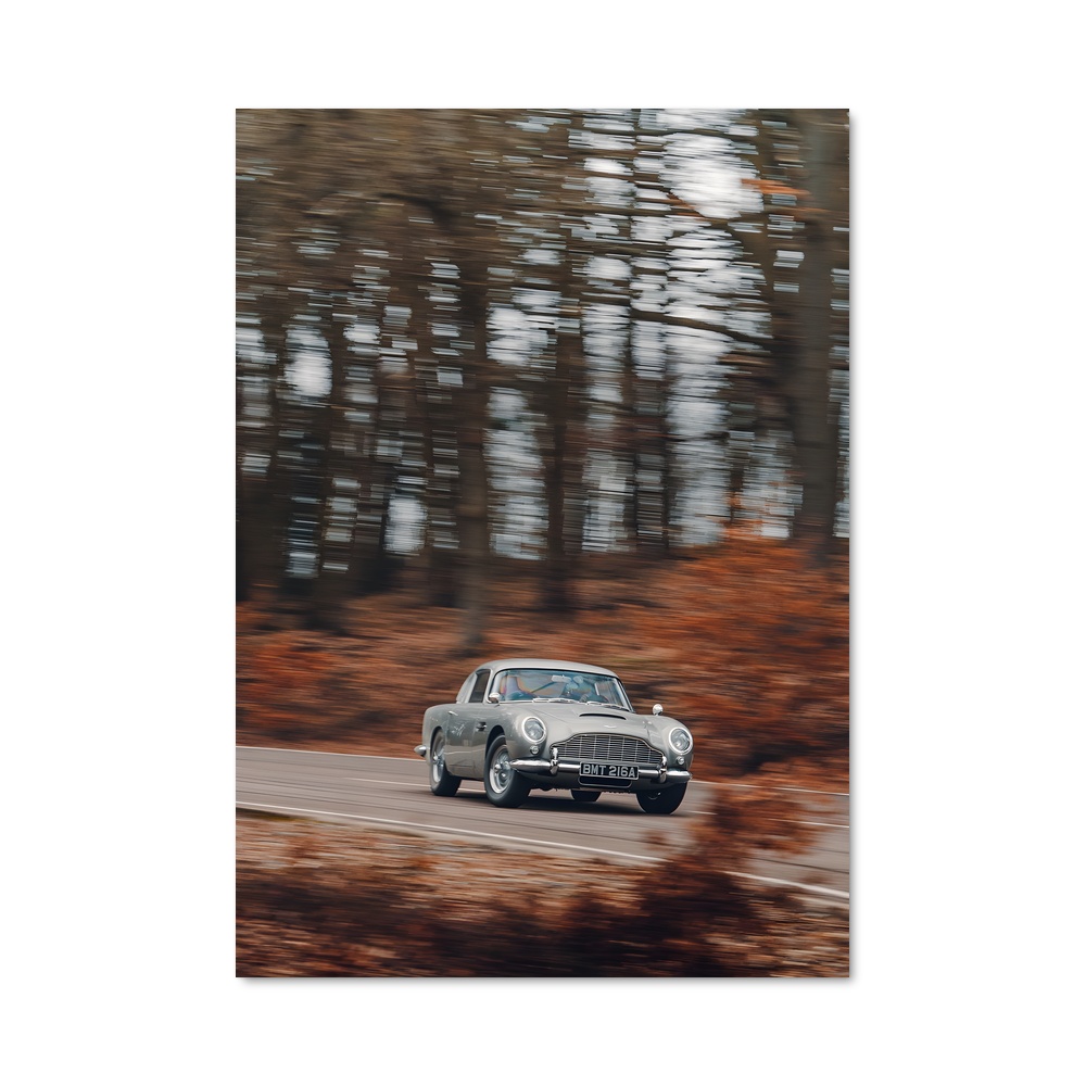 Poster Route des Bois