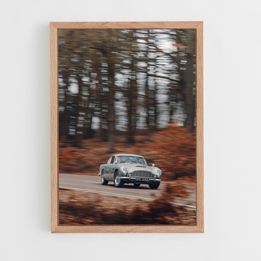 Poster Route des Bois (vue 4)