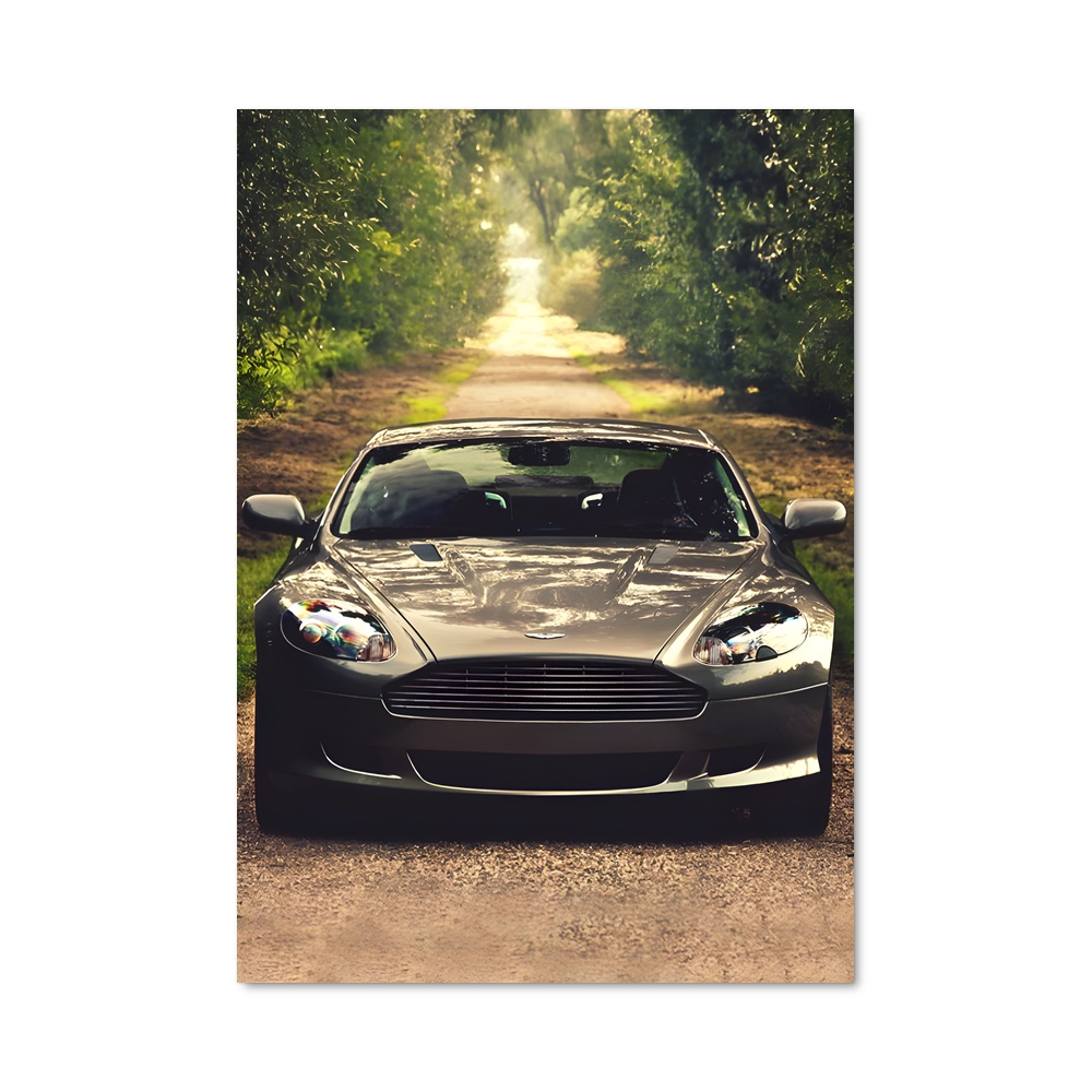 Poster Evasion Sauvage Aston Édition chic
