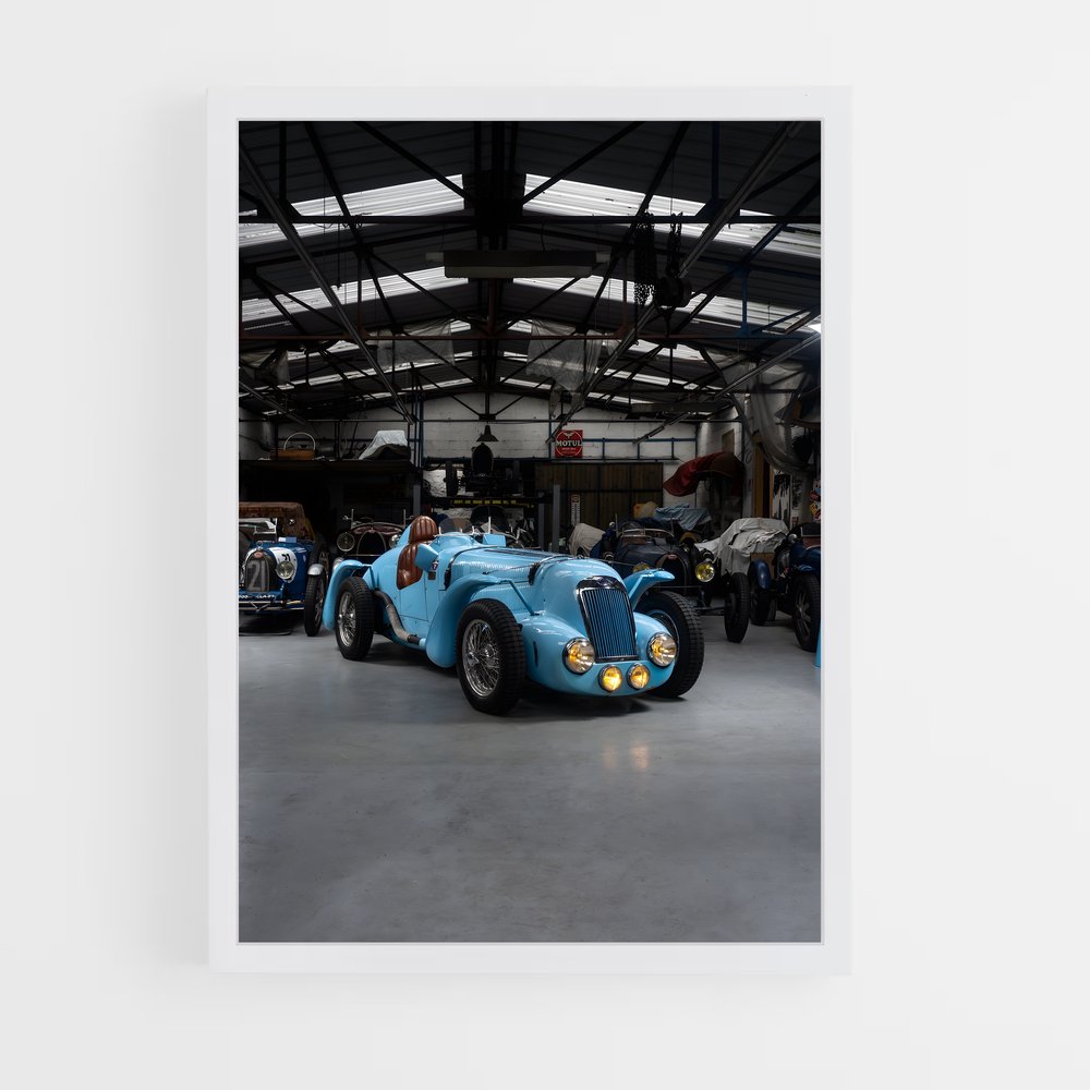 Poster Delage Vivez (vue 3)