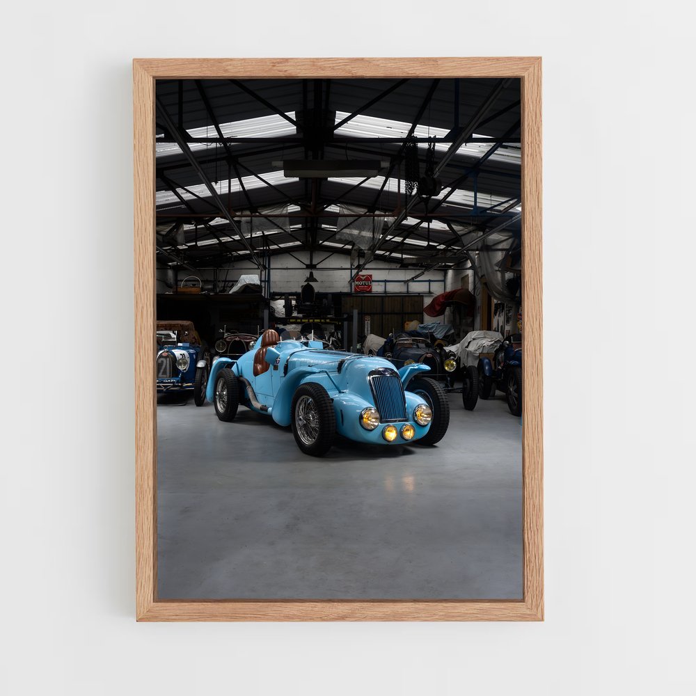 Poster Delage Vivez (vue 4)